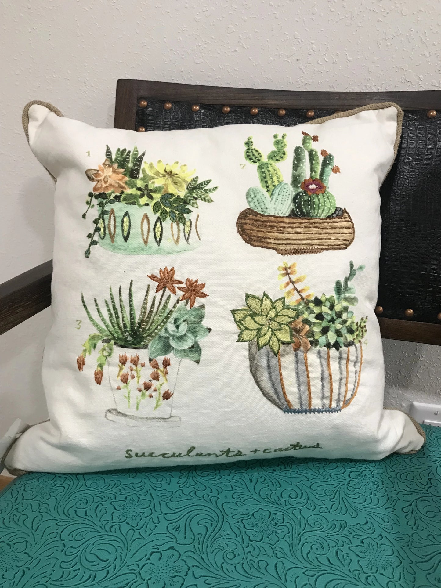 Succulents & Cactus - The Desert Paintbrush