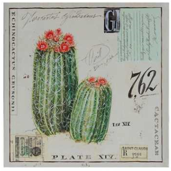 Cactus Canvas Artwork - The Desert Paintbrush