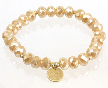 Glass Beaded Bracelet - The Desert Paintbrush