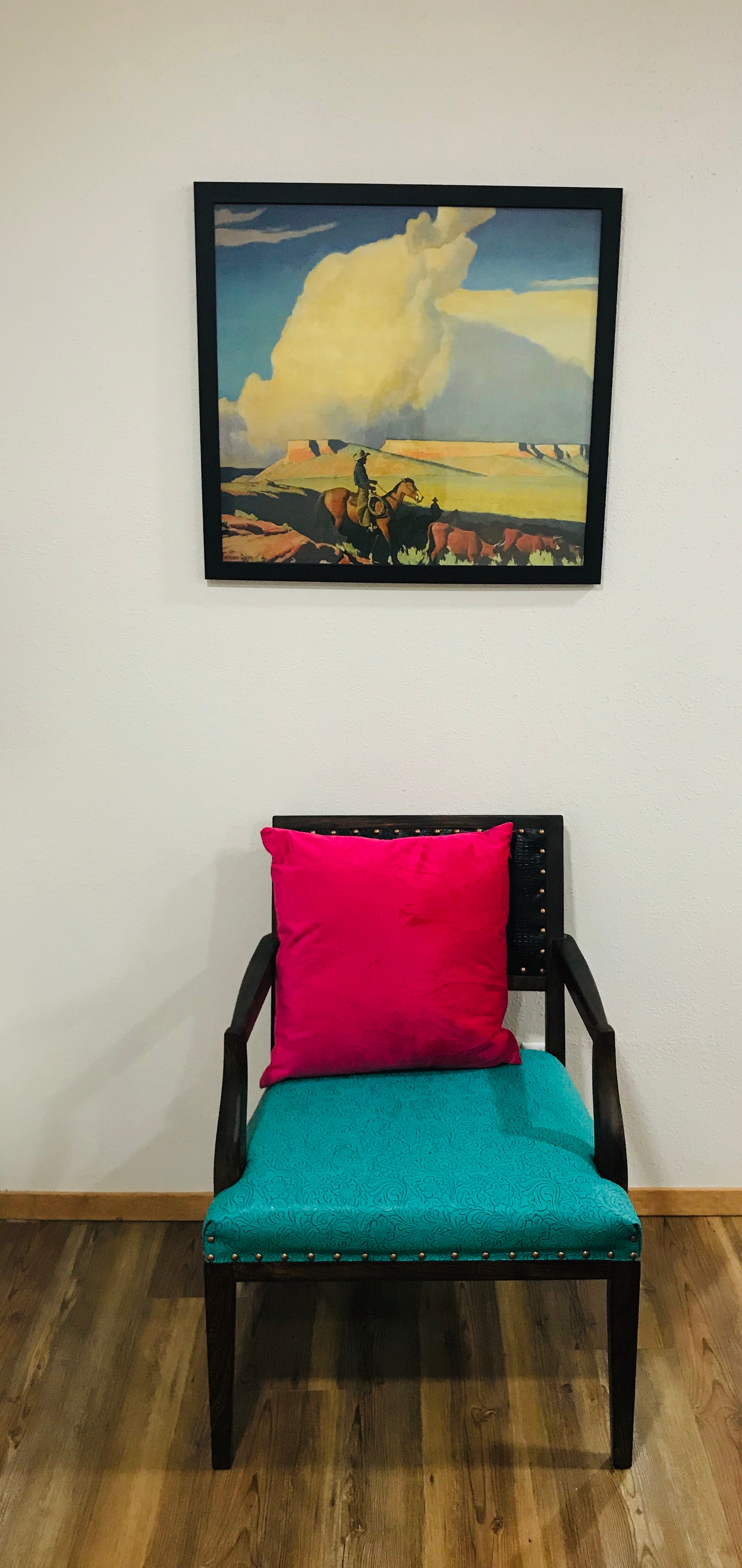 Velvet Pillows 16x16 - The Desert Paintbrush
