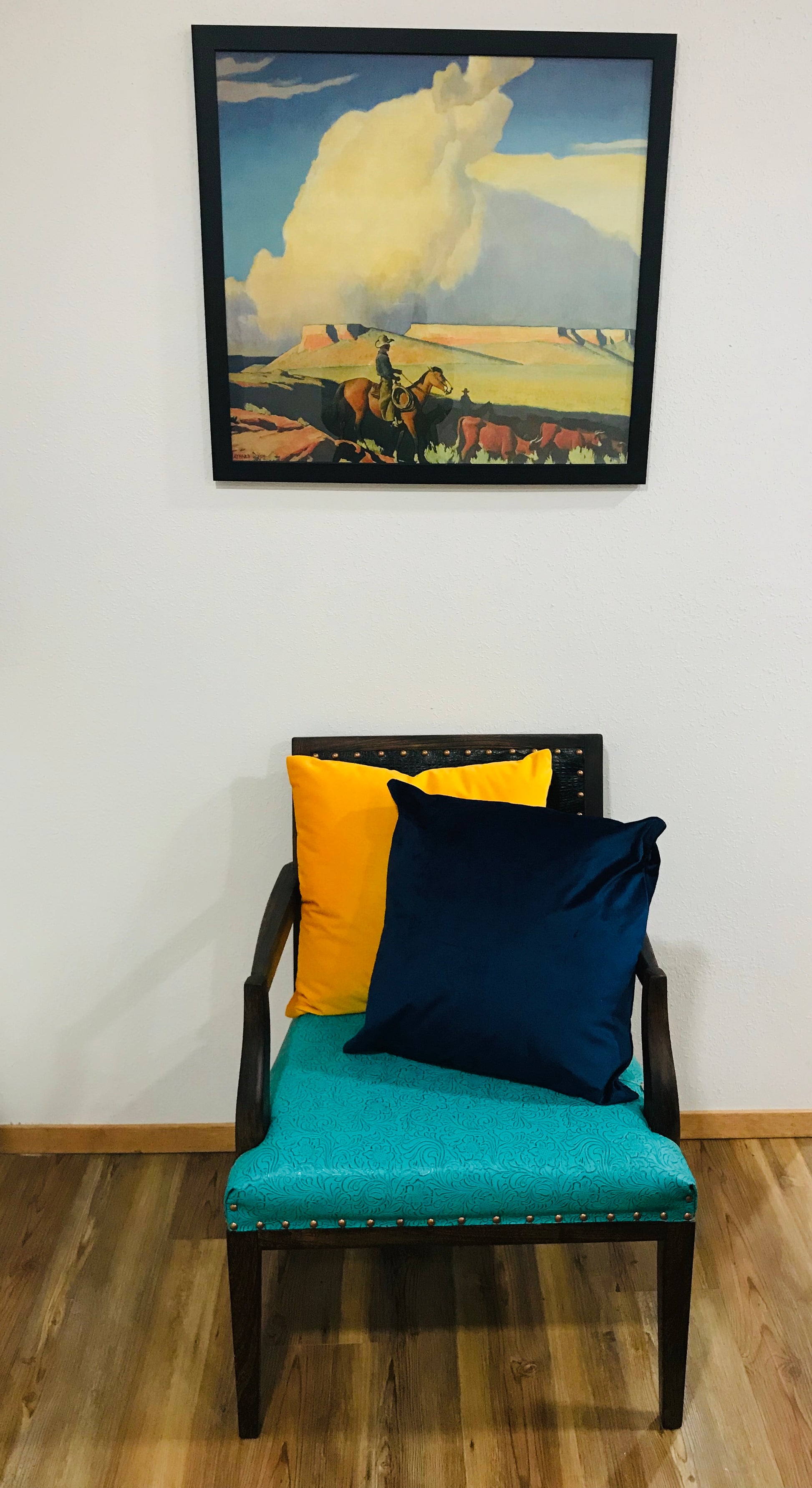 Velvet Pillows 16x16 - The Desert Paintbrush