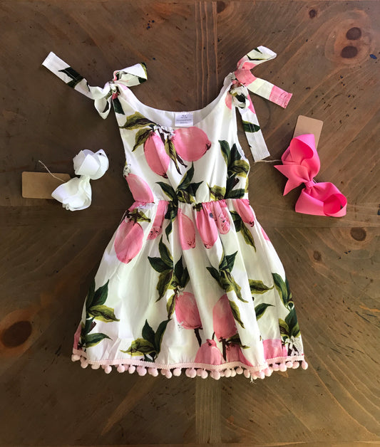 Pink Lemonade Pom Pom Dress - The Desert Paintbrush