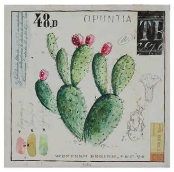 Cactus Canvas Artwork - The Desert Paintbrush
