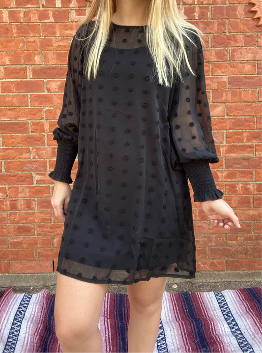 Black Sheer Polka Dot Dress