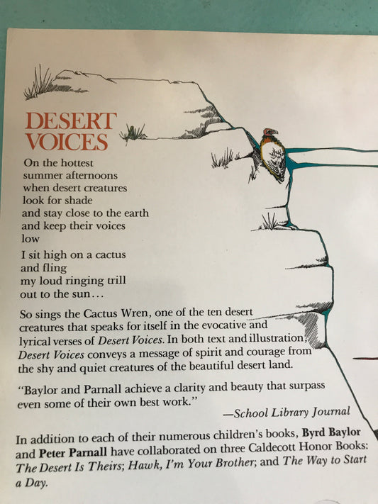 Desert Voices - The Desert Paintbrush