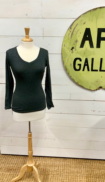 Soft Fitted V Neck Long Sleeve - The Desert Paintbrush