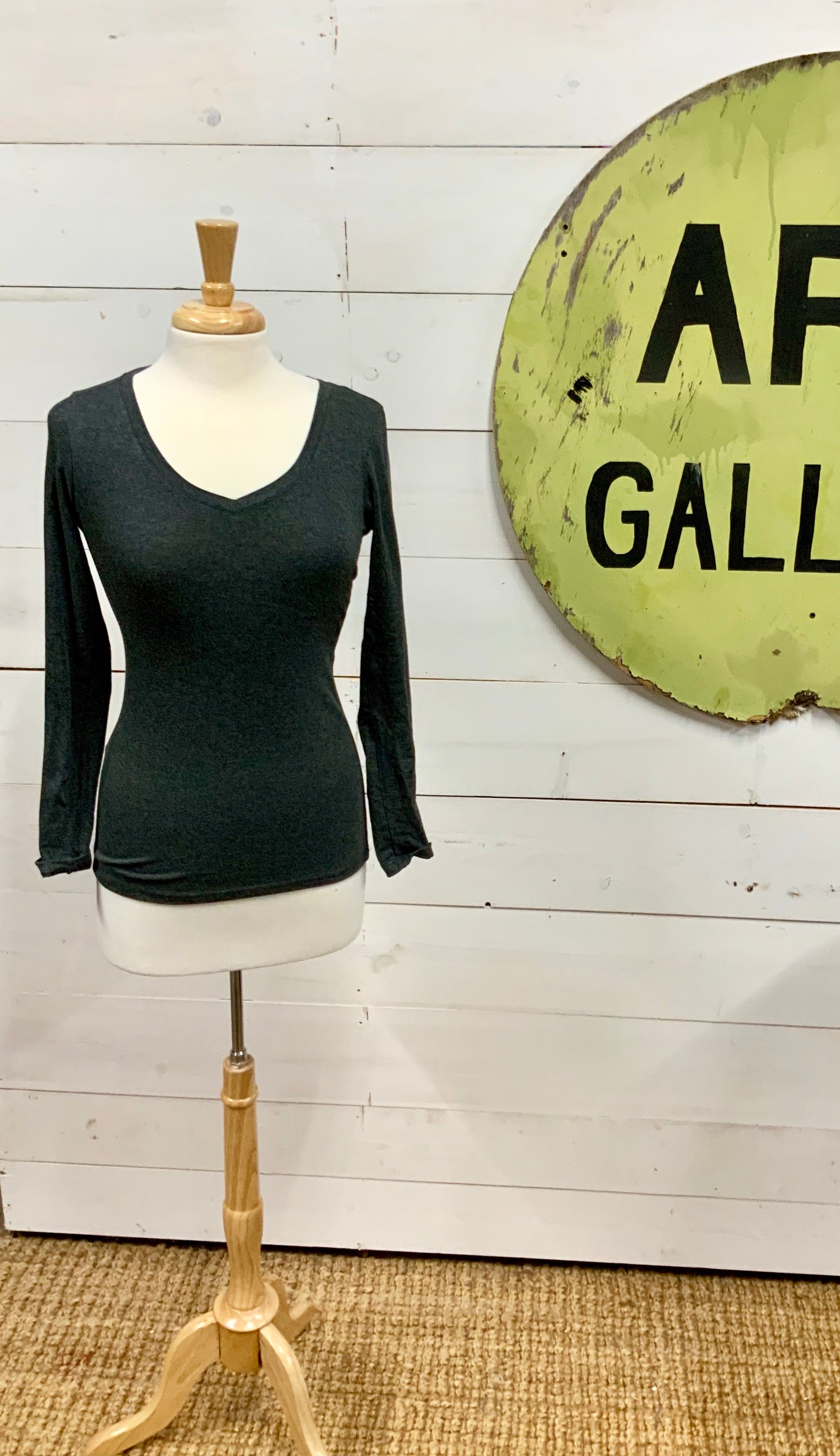 Soft Fitted V Neck Long Sleeve - The Desert Paintbrush