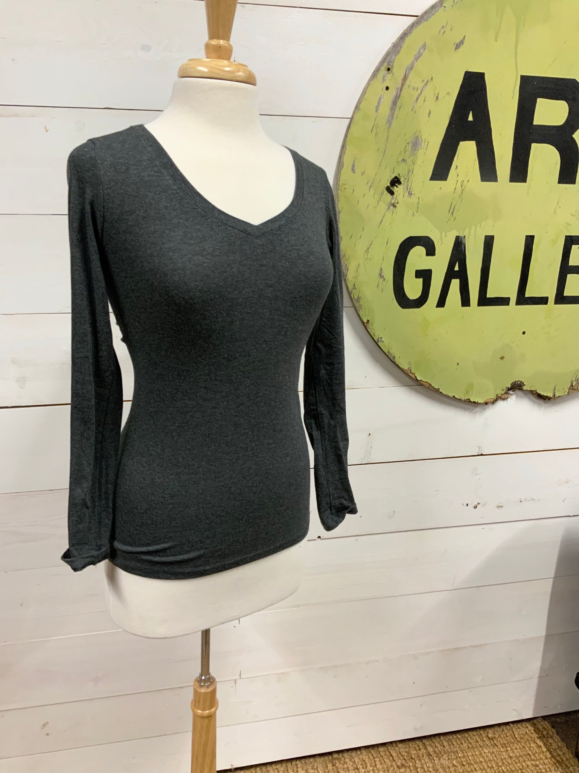 Soft Fitted V Neck Long Sleeve - The Desert Paintbrush