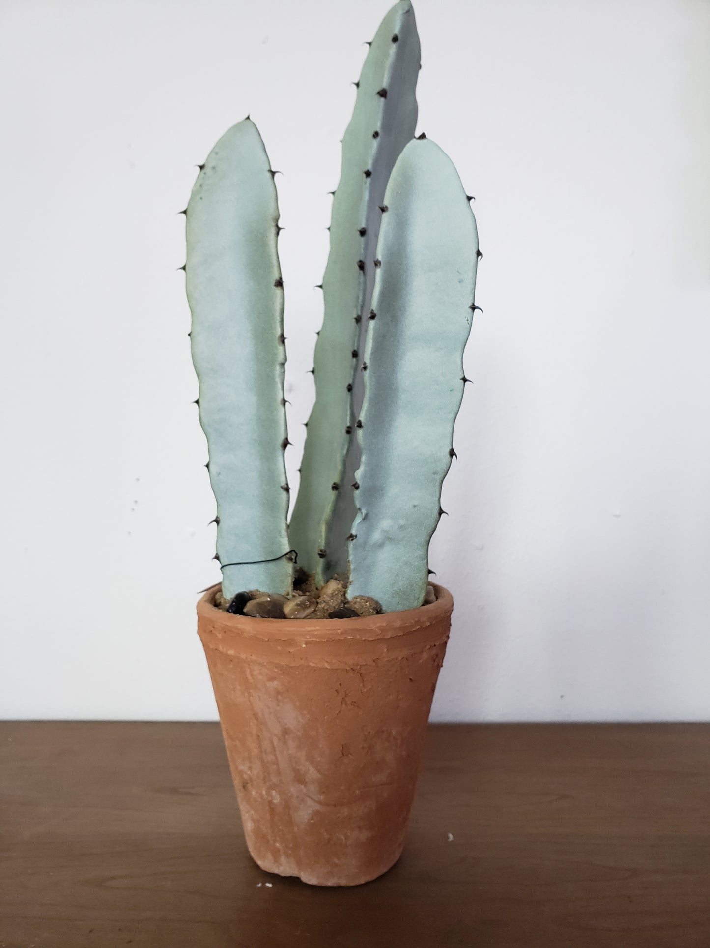 Faux Potted Cactus - The Desert Paintbrush