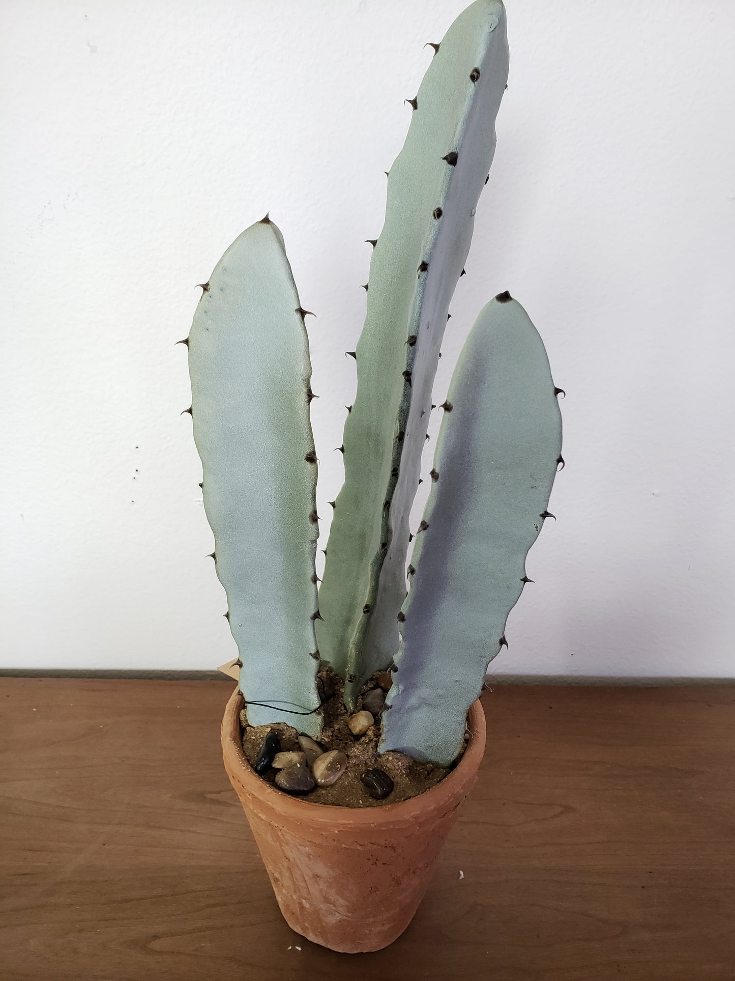 Faux Potted Cactus - The Desert Paintbrush